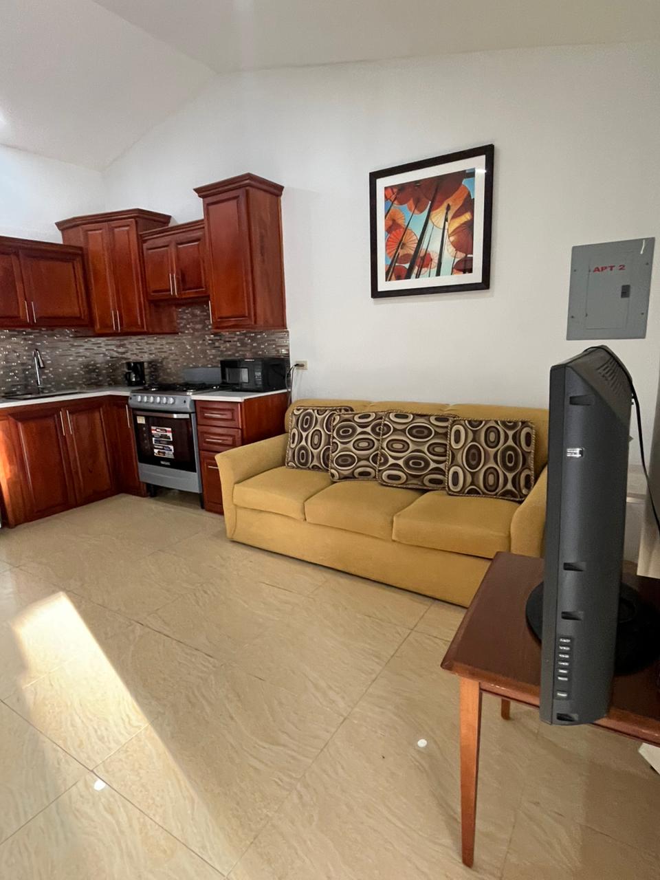 One-bedroom apartment kitchen and living area