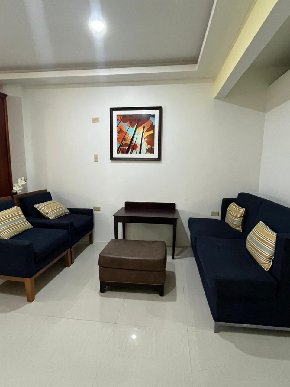 Living area with navy armchairs and sofa